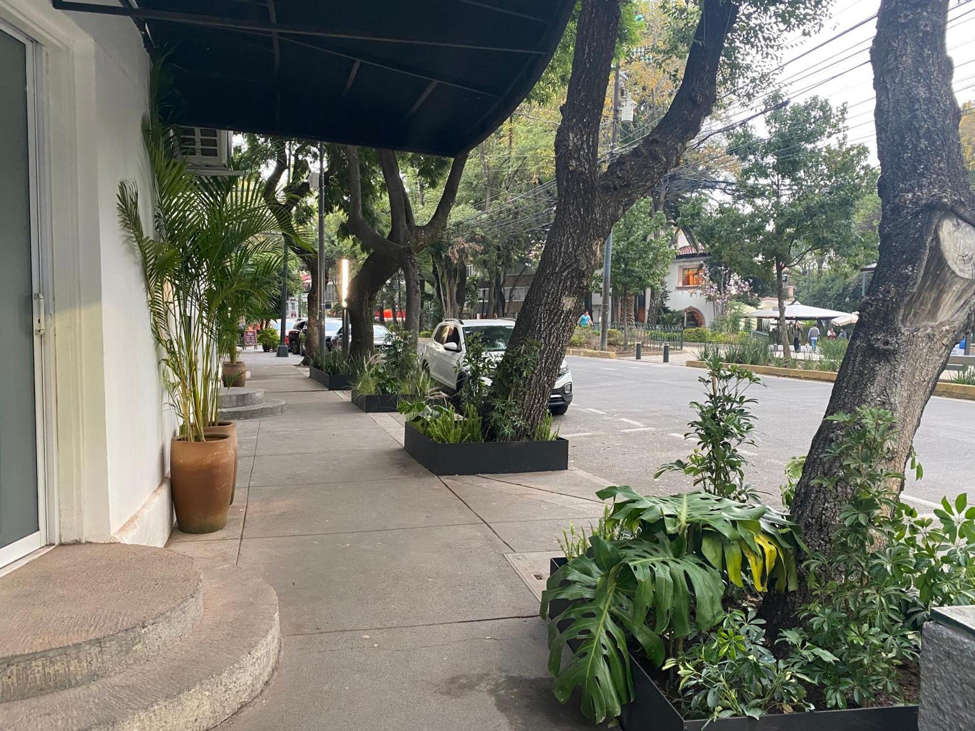 Casa Corp Boutique Suites In Condesa Мексико Сити Екстериор снимка